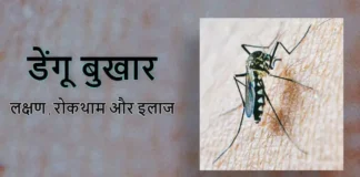 Dengue ke Lakshan in Hindi: डेंगू होने पर कैसे करे उपचार और रोकथाम ? Dengue ke Lakshan in Hindi