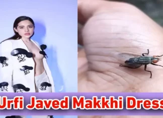 Urfi Javed Makkhi Dress: मक्खियों को भी नहीं छोड़ा उर्फी ने बना डाली मक्खियों वाली ड्रेस, लोग देखकर हो गए हैरान Urfi Javed Makkhi Dress