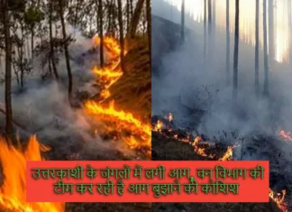 Uttarkashi ke Janglon me Lagi Aag: तीन दिन से धूं-धूंकर जल रहे है जंगल, वन विभाग की टीम लगी है आग बुझाने में Uttarkashi ke Janglon me Lagi Aag