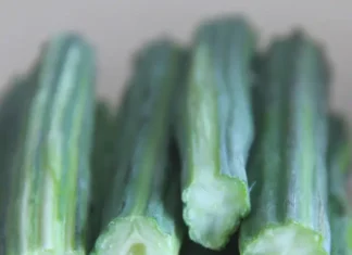 अगर शरीर को बनाना है स्वस्थ तो,सहजन (Drumstick in Hindi) का करे सेवन Drumstick in Hindi