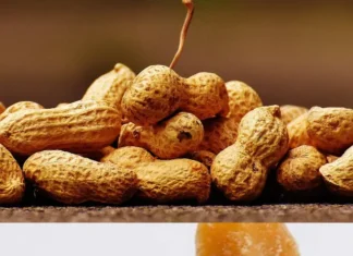 Peanut and Jaggery Benefits: गुड़ मूंगफली के खाने के अनेको लाभ Jaggery and Peanut Benefits