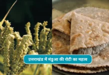 Mandua ki Roti Recipe: शरीर के लिए मंडुआ(रागी) की रोटी है बहुत लाभकारी, रोटी नहीं खाई तोह जल्द करें शुरू Mandua ki roti recipe