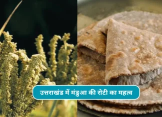 Mandua ki Roti Recipe: शरीर के लिए मंडुआ(रागी) की रोटी है बहुत लाभकारी, रोटी नहीं खाई तोह जल्द करें शुरू Mandua ki roti recipe