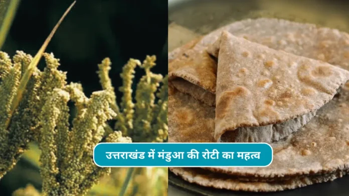 Mandua ki roti recipe