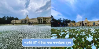 Roorkee IIT Viral Video: रुड़की IIT में देखा गया मनमोहक दृश्य, सोशल मीडिया पर हुआ खूब वायरल Roorkee IIT Viral Video