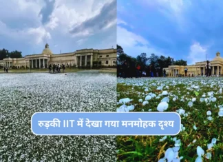 Roorkee IIT Viral Video: रुड़की IIT में देखा गया मनमोहक दृश्य, सोशल मीडिया पर हुआ खूब वायरल Roorkee IIT Viral Video