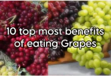 10 Top Most Benefits Of Grapes: अंगूर खाने से होने वाले 10 बड़े फायदे benefits of eating grapes