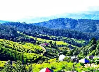 Uttarakhand Places: ये है उत्तराखंड में घूमने की 5 खूबसूरत जगह Uttarakhand Places