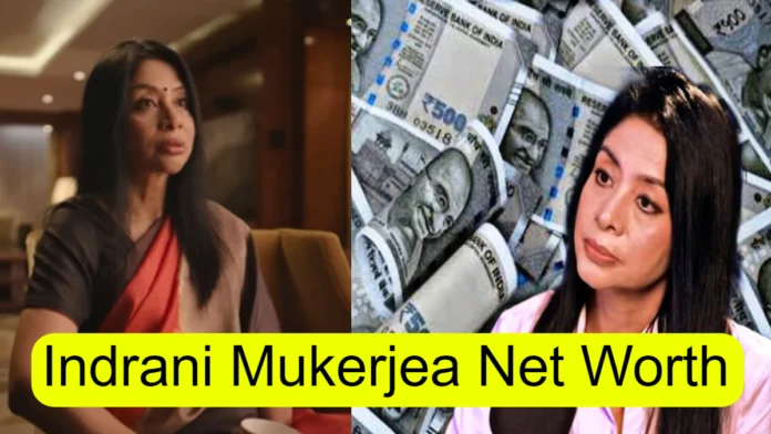 Indrani Mukerjea Net Worth