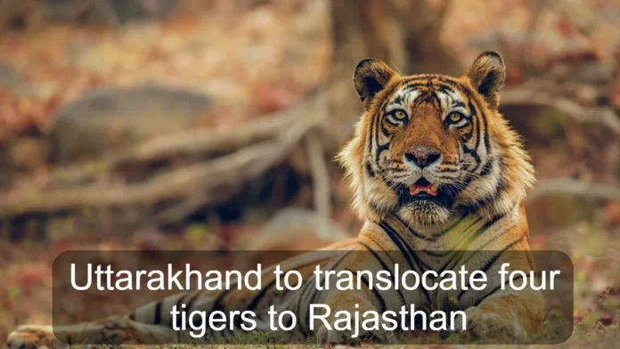 Uttarakhand to Translocate Four Tigers to Rajasthan