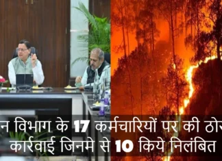 उत्तराखंड के मुख्यमंत्री ने उठाया सख्त कदम, वन विभाग के 17 कर्मचारियों पर की ठोस कार्रवाई जिनमे से 10 किये निलंबित Strict Action Taken Against 17 Forest Department Employees