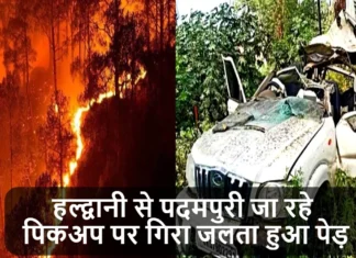 हल्द्वानी से पदमपुरी जा रहे पिकअप पर गिरा जलता हुआ पेड़, 50 से अधिक घर भी आए आग की चपेट में Uttarakhand Forest Fire Burning Tree Fell on Moving Vehicle