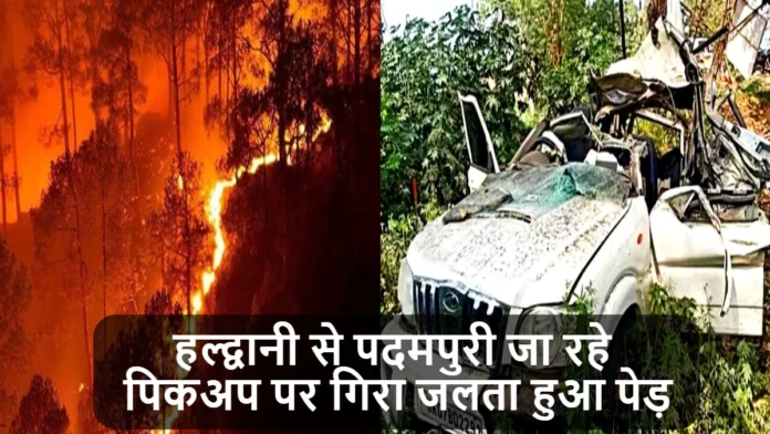 Uttarakhand Forest Fire Burning Tree Fell on Moving Vehicle