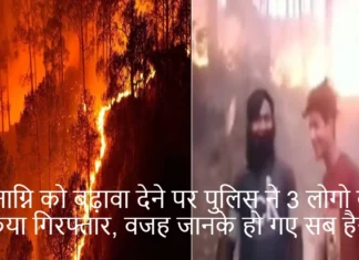 वनाग्नि को बढ़ावा देने पर पुलिस ने 3 लोगो को किया गिरफ्तार, वजह जानके हो गए सब हैरान Uttarakhand Police Arrest 3 People From Bihar For Promoting Forest Fires