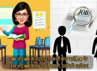 CRP और BRP के पदों पर निकली बंपर भर्ती, CRP के 670 और BRP के 255 पद है खाली, यहाँ करे आवेदन 955 Vacancies for the Post of CRP and BRP in Education Department