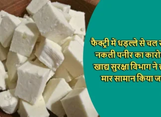 फैक्ट्री में धड़ल्ले से चल रहा था नकली पनीर का कारोबार, खाद्य सुरक्षा विभाग ने छापा मार सामान किया जब्त Fake Cheese Making Factory Caught Arrowroot Acetic Acid and Palm oil Also Seized