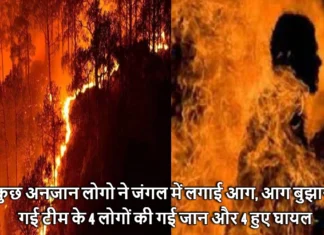 कुछ अनजान लोगो ने जंगल में लगाई आग, आग बुझाने गई टीम के 4 लोगों की गई जान और 4 हुए घायल Four Forest Department Employees Got Burnt and Four Died in the Forest Fire in Almora