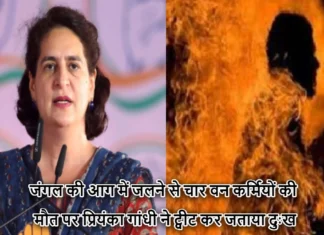 जंगल की आग में जलने से चार वन कर्मियों की मौत पर प्रियंका गांधी ने ट्वीट कर जताया दुःख, सरकार से वनाग्नि को रोकने के लिए करी अपील Priyanka Gandhi Tweeted Expressed Grief Over The Death Of Four Forest Workers Due To Burning In Almora