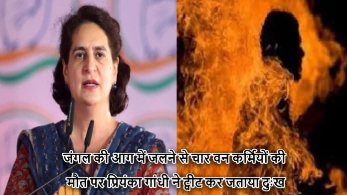 Priyanka Gandhi Tweeted Expressed Grief Over The Death Of Four Forest Workers Due To Burning In Almora