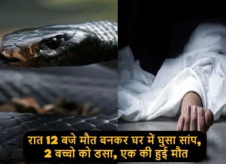 रात 12 बजे मौत बनकर घर में घुसा सांप, 2 बच्चो को डसा, एक की हुई मौत Sister Dies Due to Snake Bite in Ramnagar Brother's Condition Also Critical