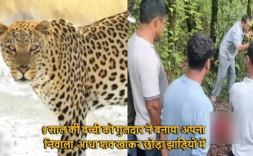 9 साल की बच्ची को गुलदार ने बनाया अपना निवाला, आधा शव खाकर छोड़ा झाड़ियों में Leopard Killed Nine Years Old Girl In Tehri Uttarakhand