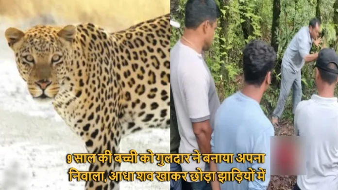 Leopard Killed Nine Years Old Girl In Tehri Uttarakhand